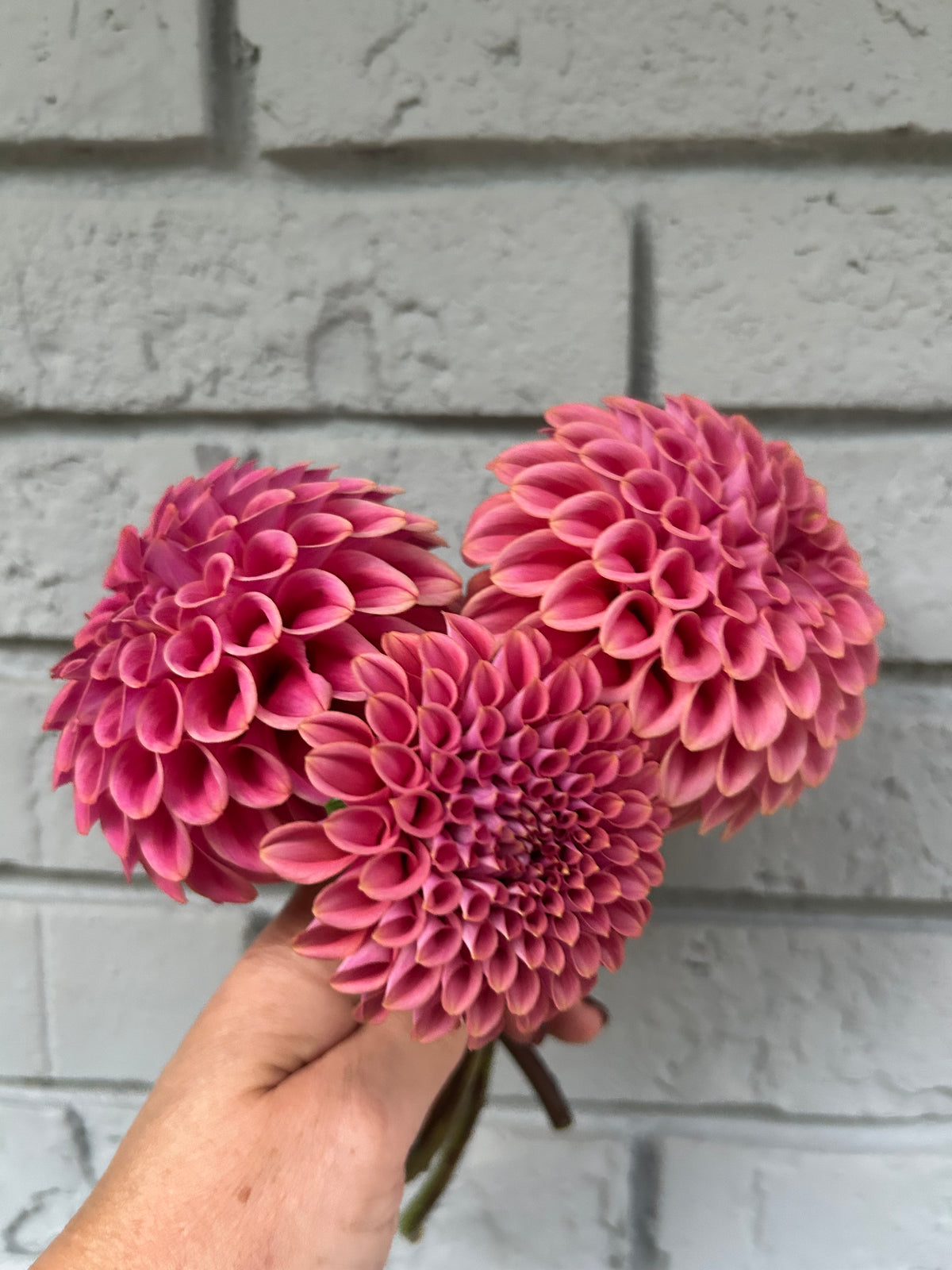 Florelie Omen
