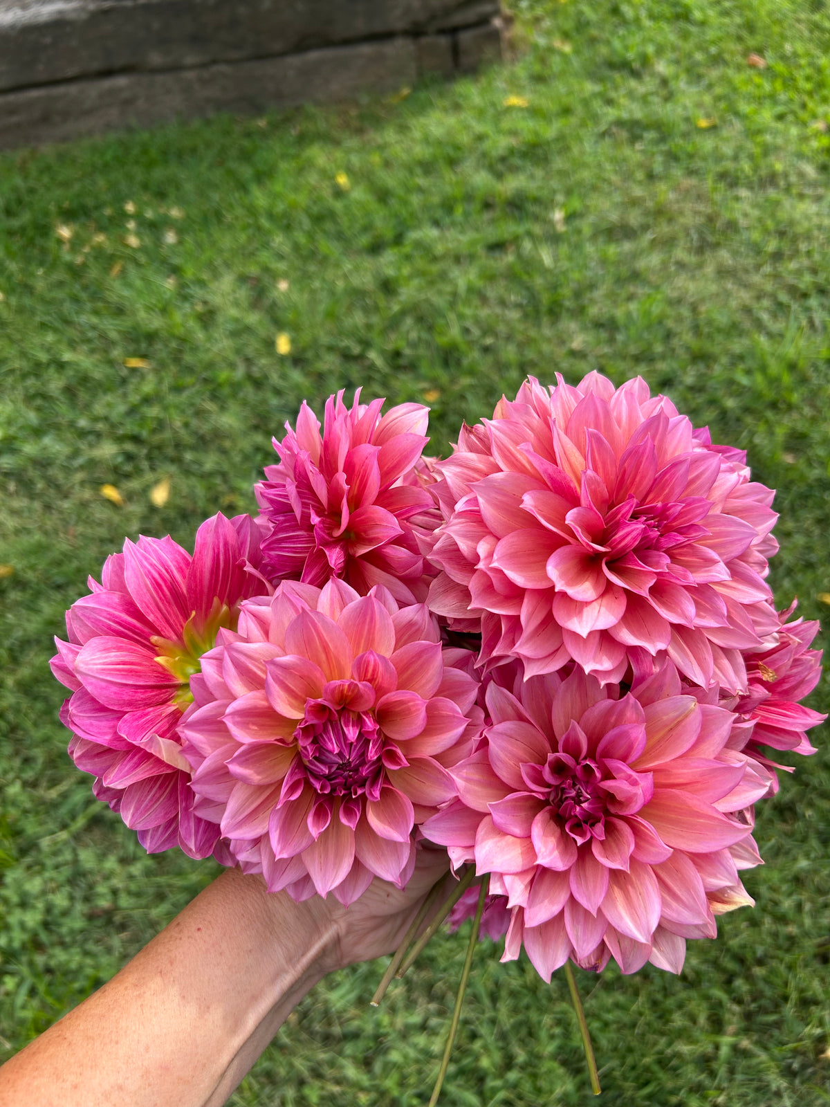 Everbloom Chakra